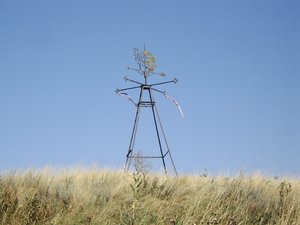 STA73457.JPG