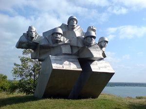 D5.JPG