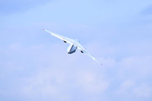 IMG_8291.JPG