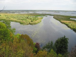 IMG_2478.JPG