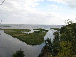 IMG_2464.JPG