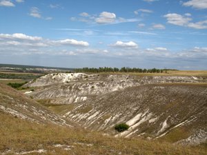 IMG_7538.jpg