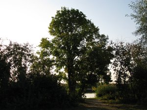 IMG_2726.JPG