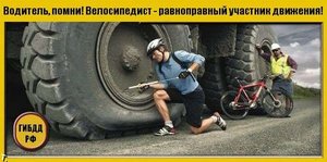 podborka_47.jpg