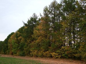 DSC03796.JPG