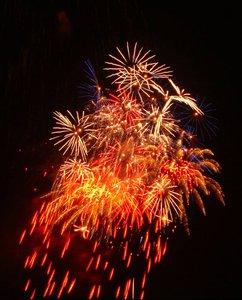 DSC03877.jpg