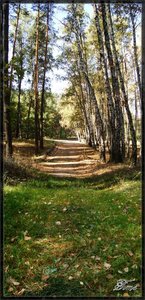 Дорога из лета в осень