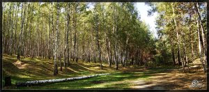 DSC03924-Панорама.jpg