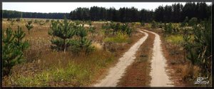DSC03959-Панорама.jpg