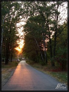 Лучи заката на асфальте