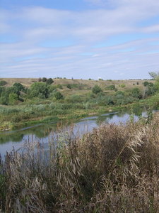 SSA42554.JPG