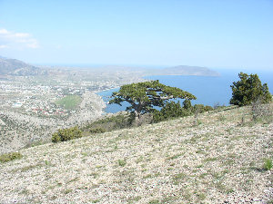 P5040062.JPG