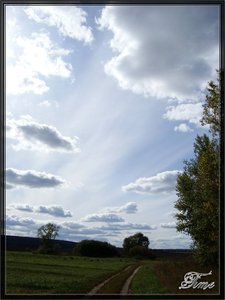 19.09. Около Дона, за Ямным