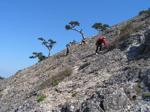 PICT6934.JPG