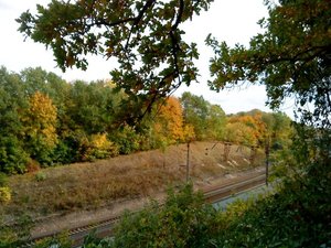 DSC0305411.jpg