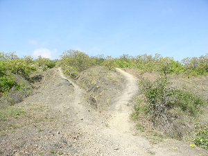P5050107.JPG