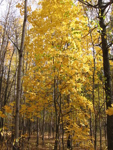 20091010-123244.jpg