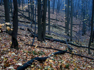 DSC01778_.jpg