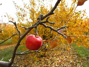 IMG_3016.JPG