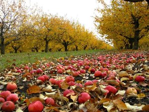 IMG_3019.JPG