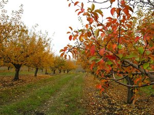 IMG_3034.JPG