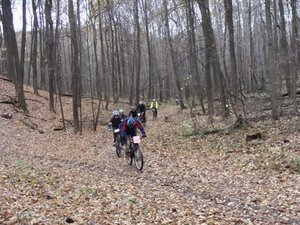 DSC05990.JPG