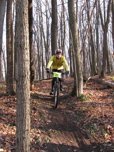 IMG_3667.jpg