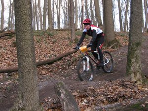 IMG_3647.jpg