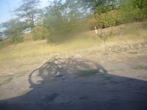 P1030320.JPG