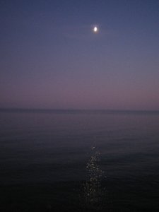IMG_5219.JPG