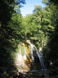 IMG_5232.JPG