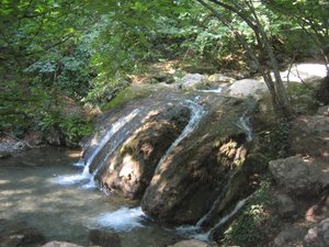 IMG_5235.JPG