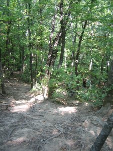 IMG_5249.JPG