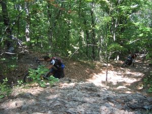 IMG_5252.JPG