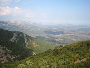 IMG_5269.JPG