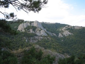 IMG_5271.JPG