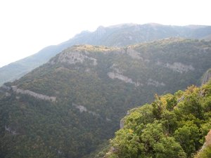 IMG_5281.JPG