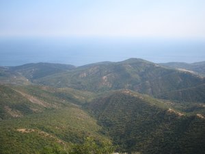 IMG_5282.JPG