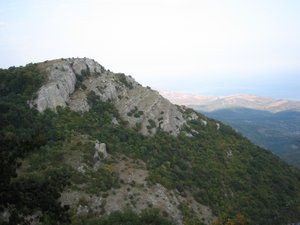 IMG_5292.JPG