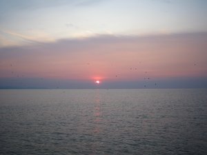 IMG_5303.JPG