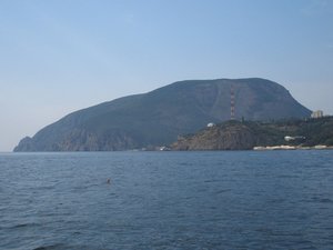 IMG_5308.JPG