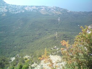 DSC00303.JPG