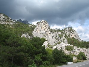 IMG_5351.JPG
