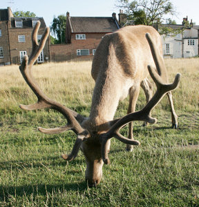 IMG_0449.JPG