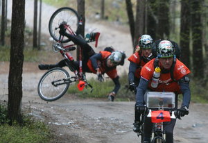 RedFox_2008
