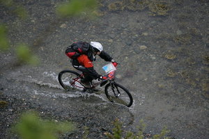 RedFox_2008