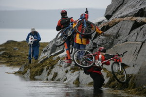 RedFox_2008
