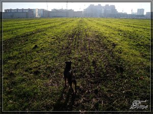 Нордюха оглядывает окрестности =)