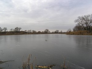 1073.jpg