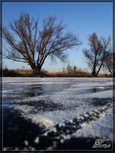 Велоследы